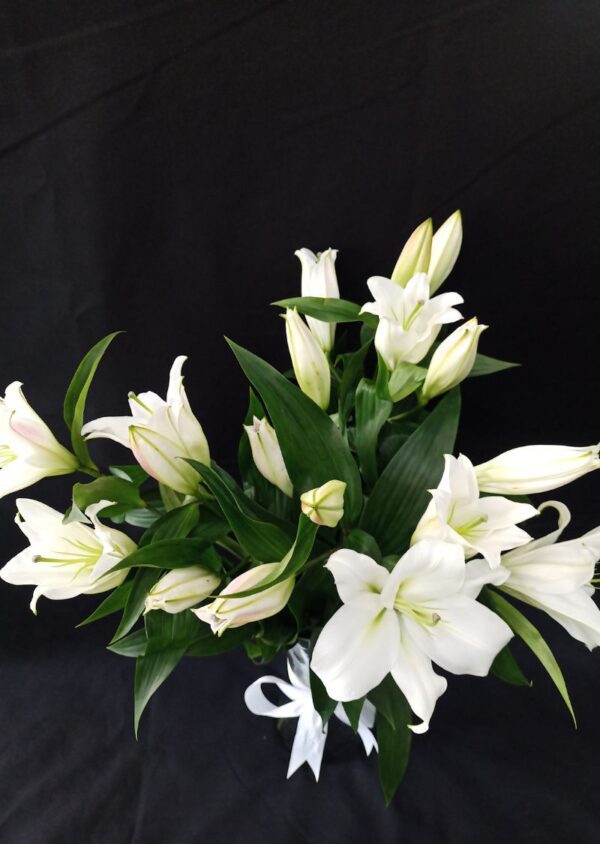 Luxurious flowers arrangement 8pcs white lily with vase