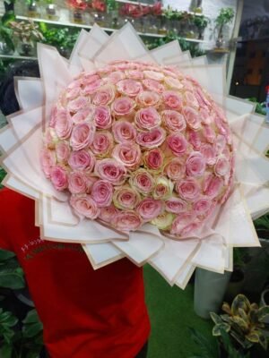 Light pink roses bouquet - fresh and fragrant flowers for special occasions, weddings, and romantic gifts.