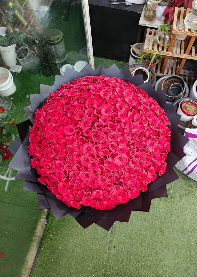 Luxurious 500 Red Roses Bouquet