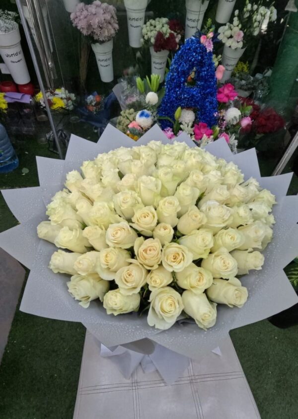 51 white roses bouquet wrapped in elegant white paper with ribbon - fresh flower delivery in UAE