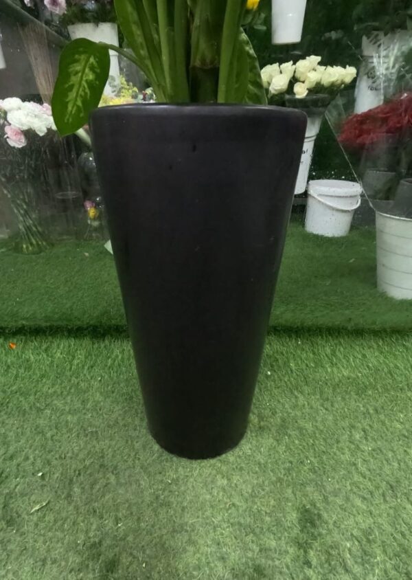 Dieffenbachia Potted Plant – Elegant Indoor Greenery for Home & Office UAE - Image 3