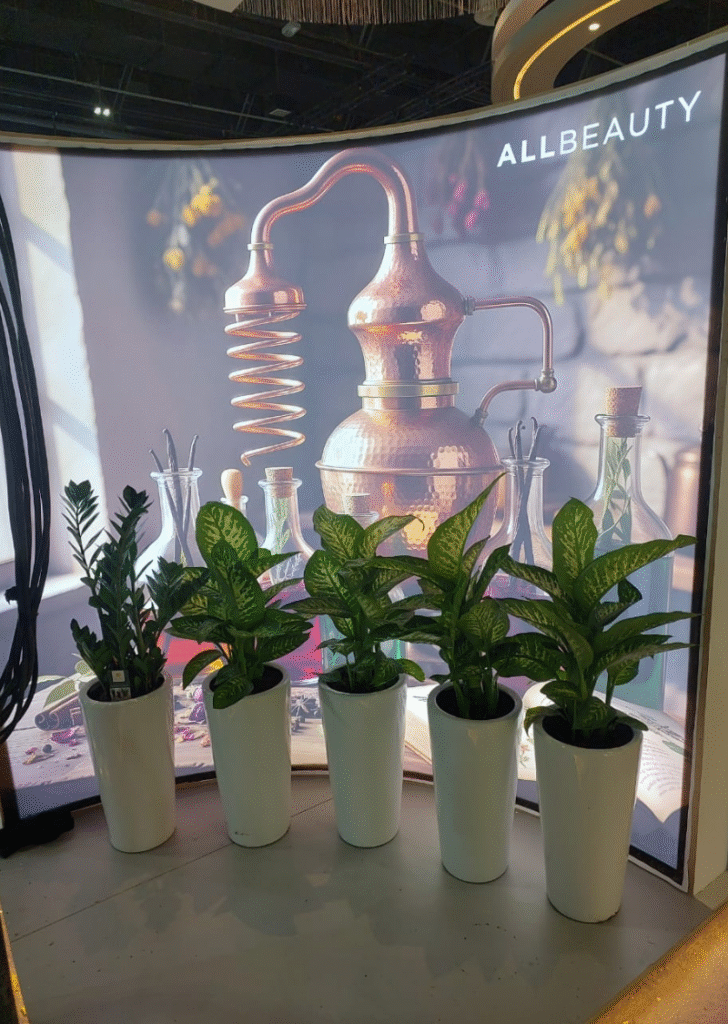 Indoor plant rental setup for corporate events at Trade Centre Dubai with white planters and green foliage