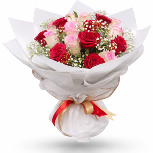 Blush and crimson pink and red roses bouquet with baby’s breath in elegant white wrapping.