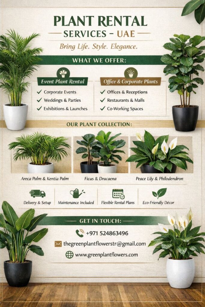 Event and office plant rental services in UAE with indoor decorative plants for corporate events and weddings