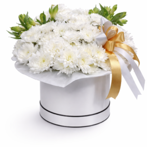 White chrysanthemum flower box arrangement in luxury hat box with ribbon - Dubai flower delivery