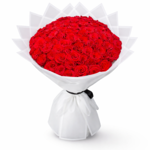 101 red roses luxury bouquet in elegant white wrapping - premium romantic flower arrangement