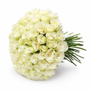 101 white roses without wrapping luxury flower arrangement in Dubai