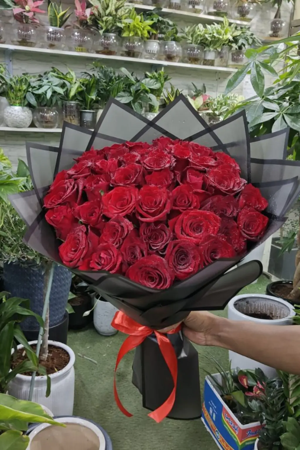 Close-up of fresh red roses in affordable bouquet, hand-tied with premium wrapping