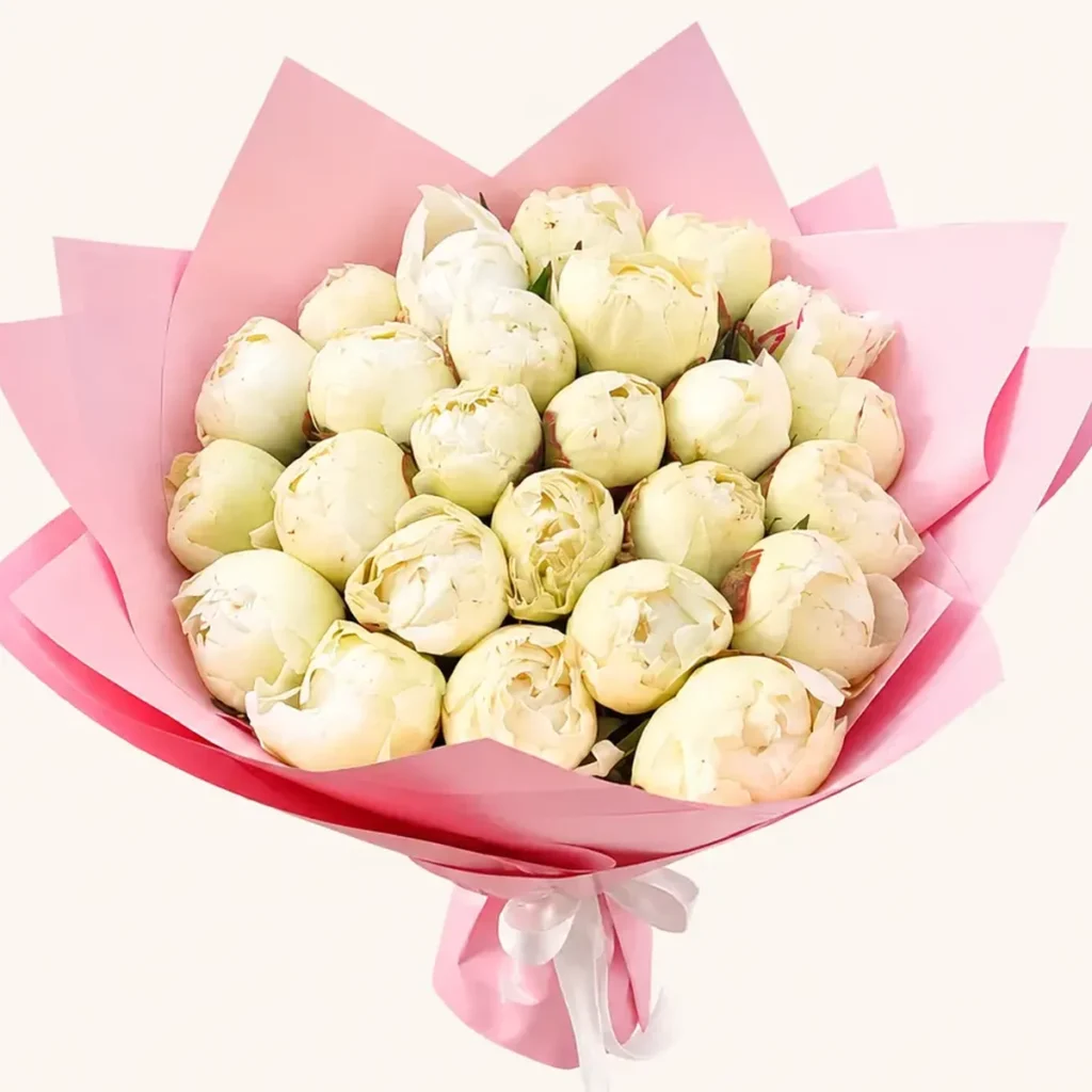 White peony bouquet wrapped in pink paper with white ribbon, same-day delivery Dubai Sharjah Ajman
