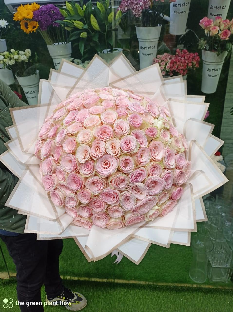 Fresh Light Pink Roses Bouquet - Premium Quality Flowers - Image 3