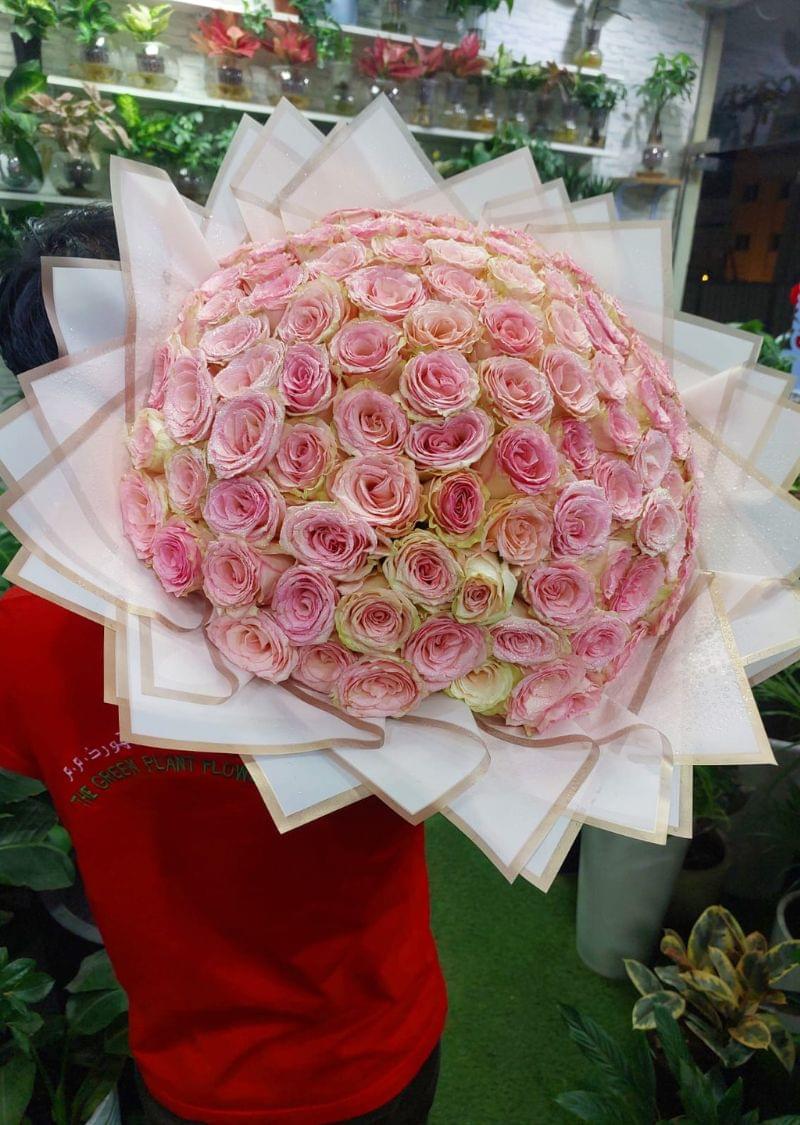 Light pink roses bouquet - fresh and fragrant flowers for special occasions, weddings, and romantic gifts.