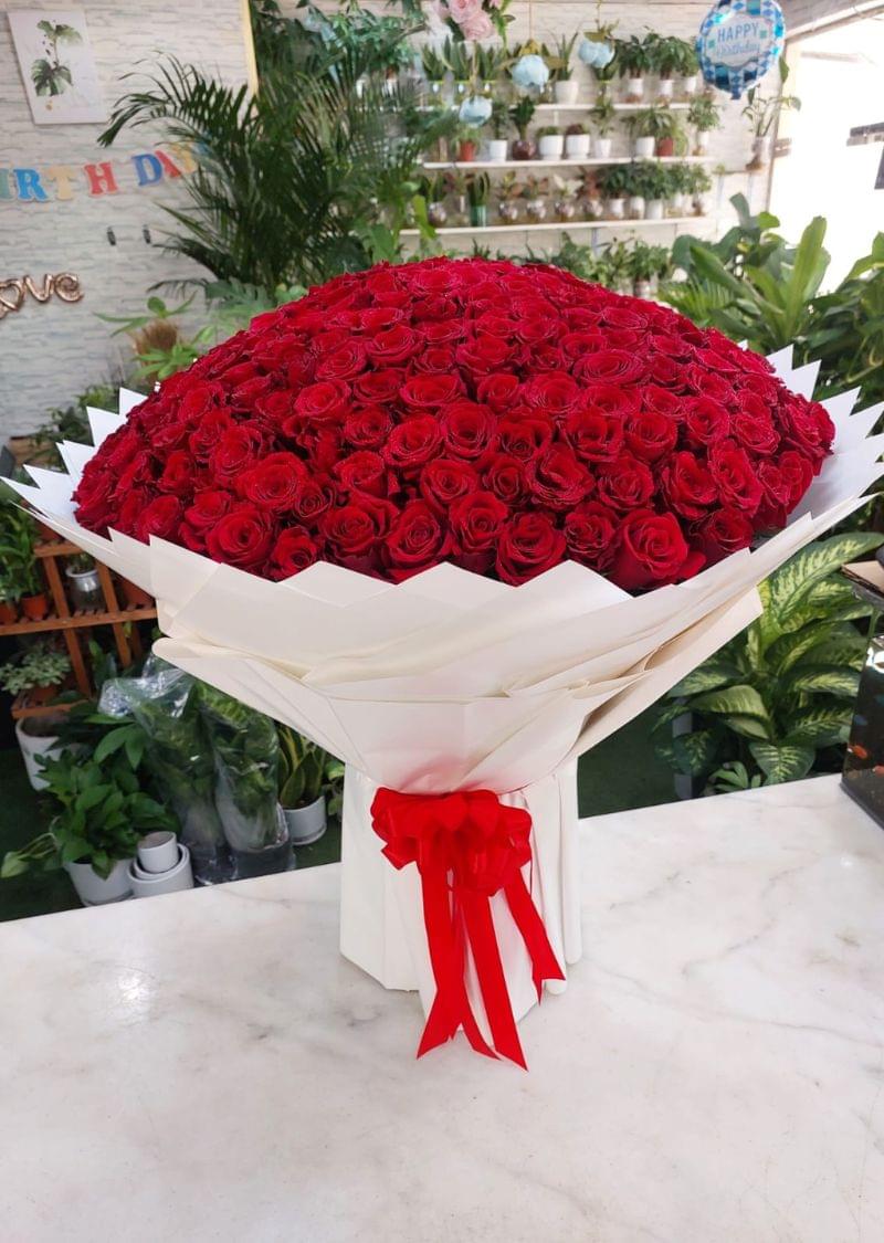 Stunning luxury red roses bouquet with 300 fresh hand-picked red roses, arranged elegantly for gifting in Dubai