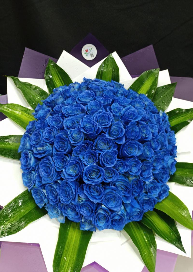 101 blue roses bouquet beautifully wrapped with purple and white paper, surrounded by green leaves, perfect for special occasions in Dubai.