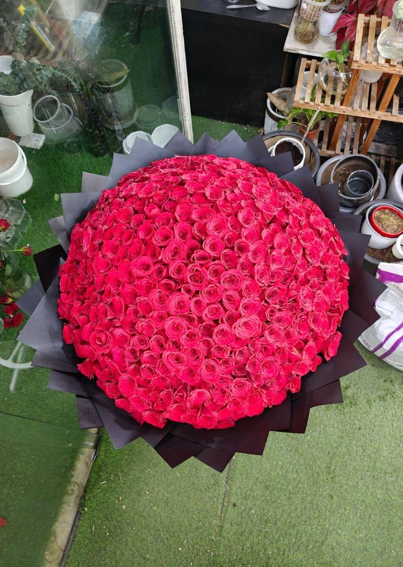 Luxurious 500 Red Roses Bouquet - Image 3