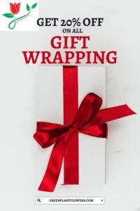 20% off gift wrapping at Green Plant Flowers in Sharjah UAE β red ribbon on white box