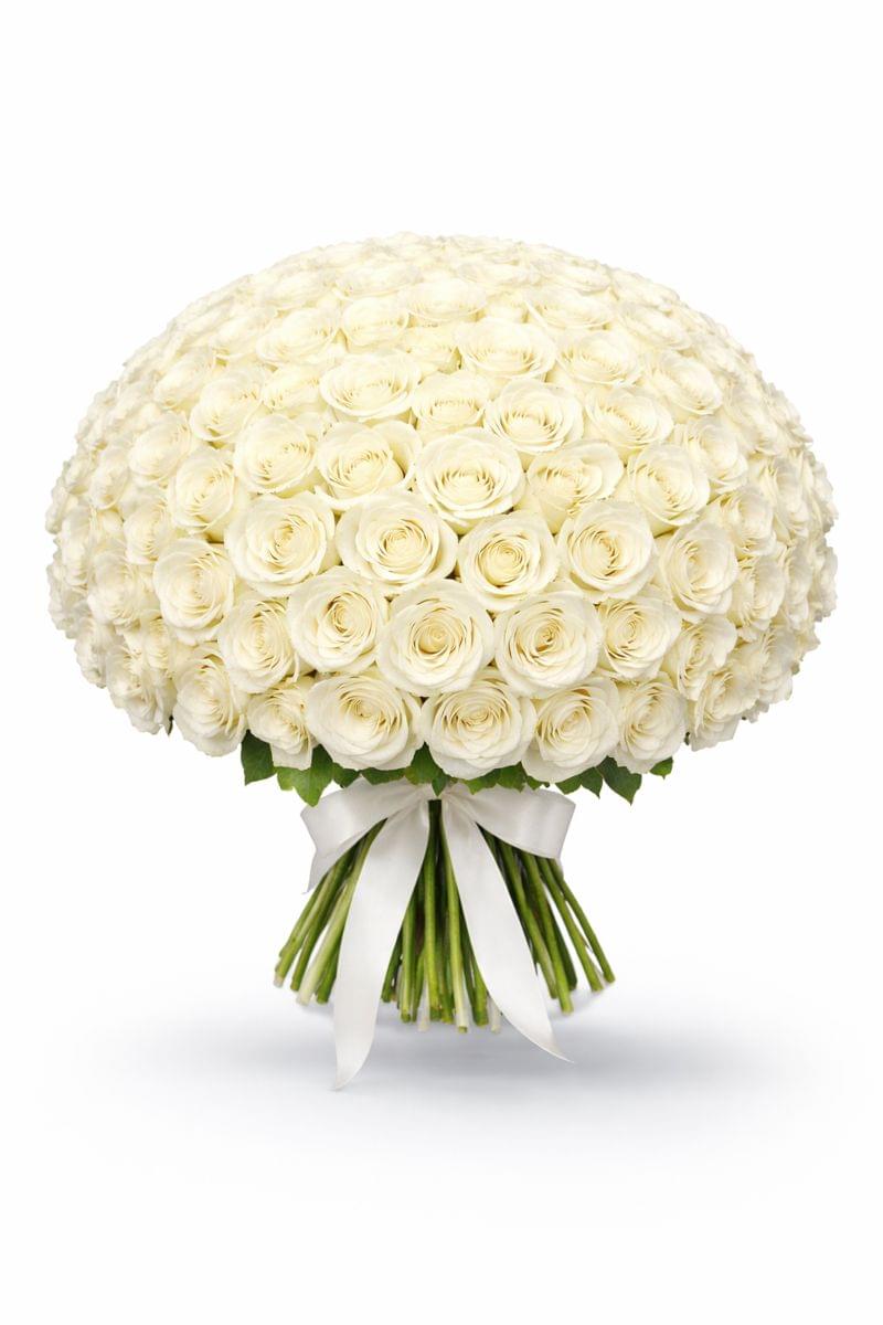 101 white roses bouquet with fresh premium roses, elegant floral arrangement for special occasions in Dubai